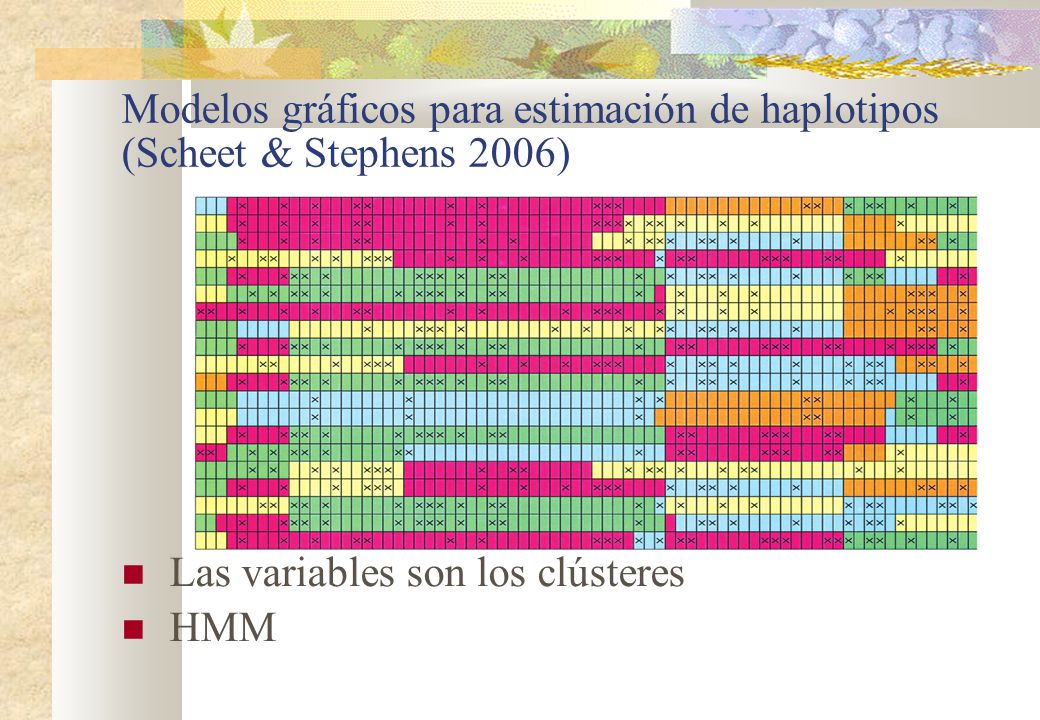 Modelos gráficos para estimación de haplotipos (Scheet & Stephens 2006)