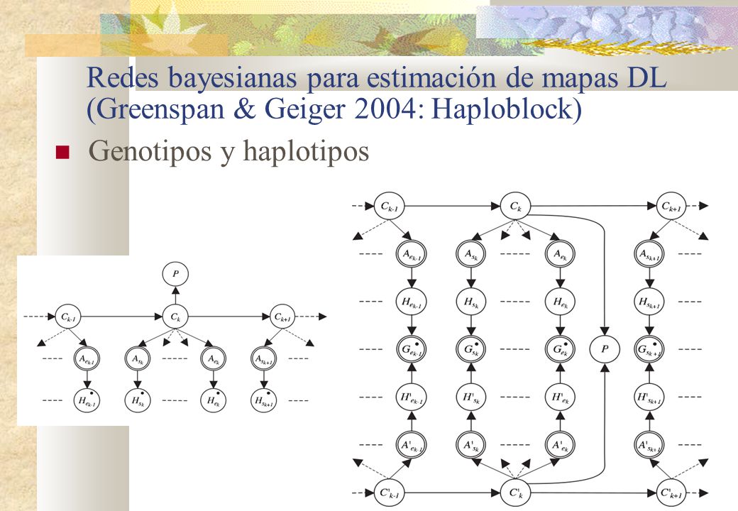 Redes bayesianas para estimación de mapas DL (Greenspan & Geiger 2004: Haploblock)