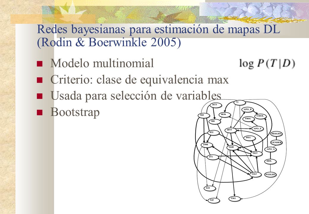 Redes bayesianas para estimación de mapas DL (Rodin & Boerwinkle 2005)