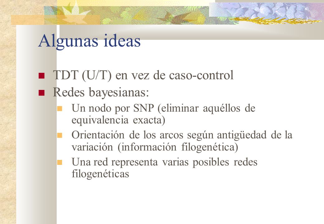 Algunas ideas TDT (U/T) en vez de caso-control Redes bayesianas: