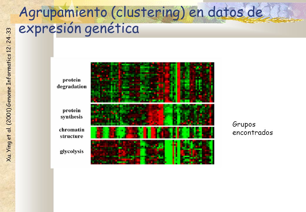 Agrupamiento (clustering) en datos de expresión genética