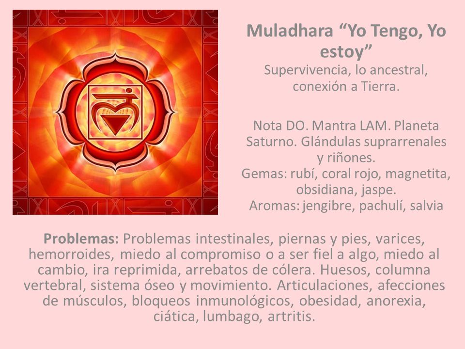 Muladhara Yo Tengo, Yo estoy Supervivencia, lo ancestral, conexión a Tierra.
