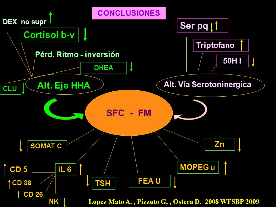Ser pq Cortisol b-v Alt. Eje HHA SFC - FM CONCLUSIONES Triptofano
