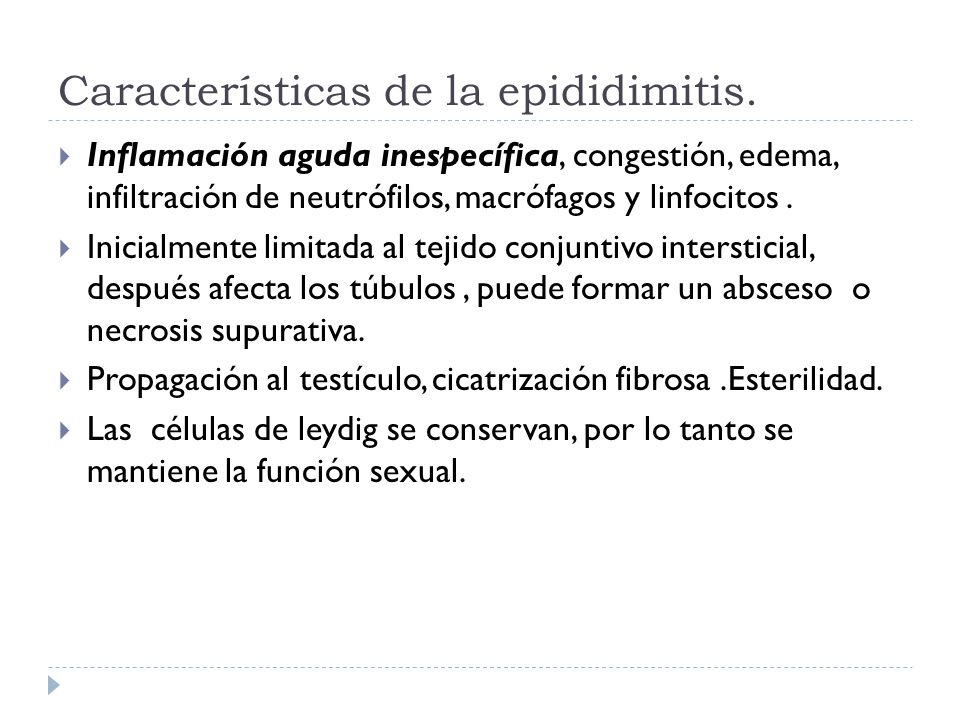 Características de la epididimitis.