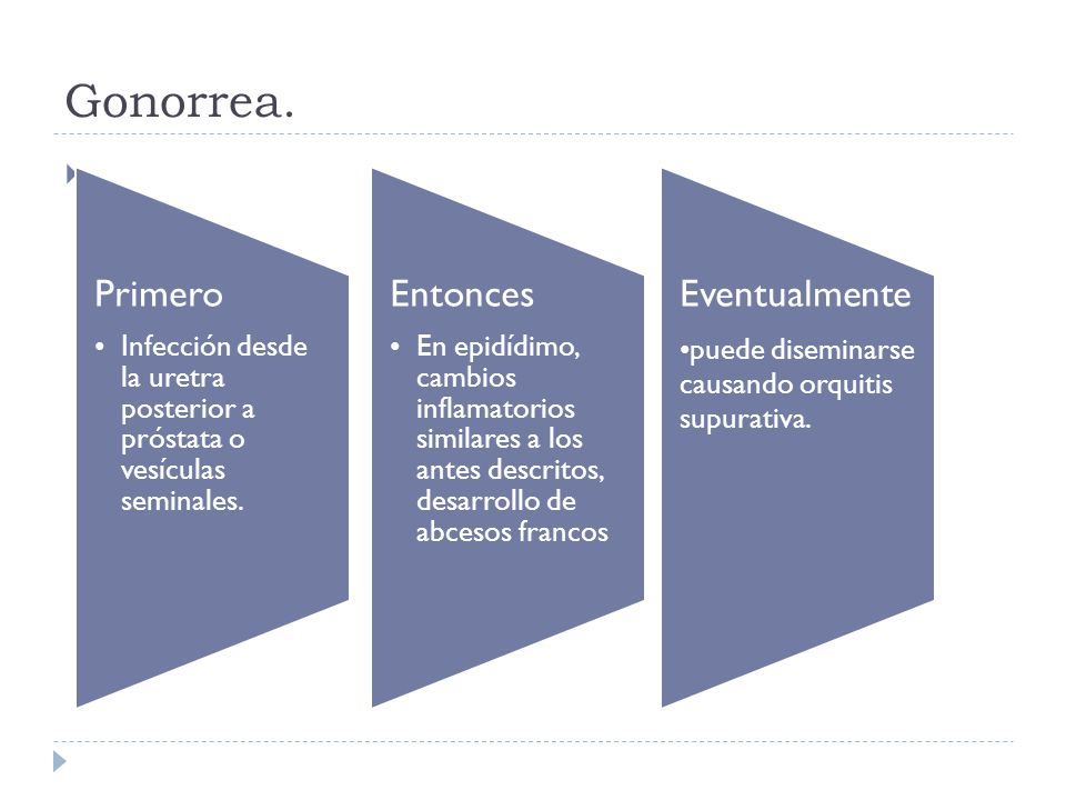 Gonorrea. Primero. Infección desde la uretra posterior a próstata o vesículas seminales. Entonces.