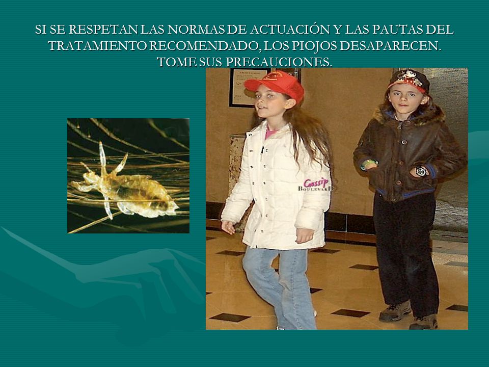 SI SE RESPETAN LAS NORMAS DE ACTUACIÓN Y LAS PAUTAS DEL TRATAMIENTO RECOMENDADO, LOS PIOJOS DESAPARECEN.