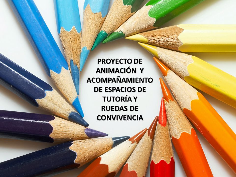 PROYECTO DE ANIMACIÓN Y ACOMPAÑAMIENTO DE ESPACIOS DE TUTORÍA Y