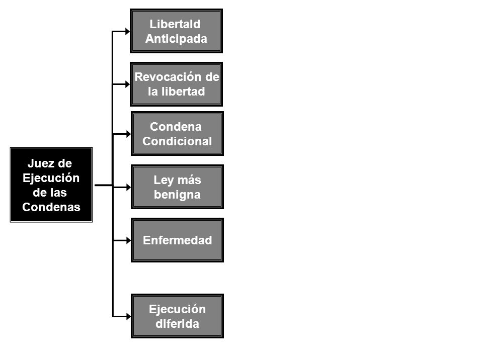 Libertald Anticipada. Revocación de. la libertad. Condena. Condicional. Juez de. Ejecución. de las.