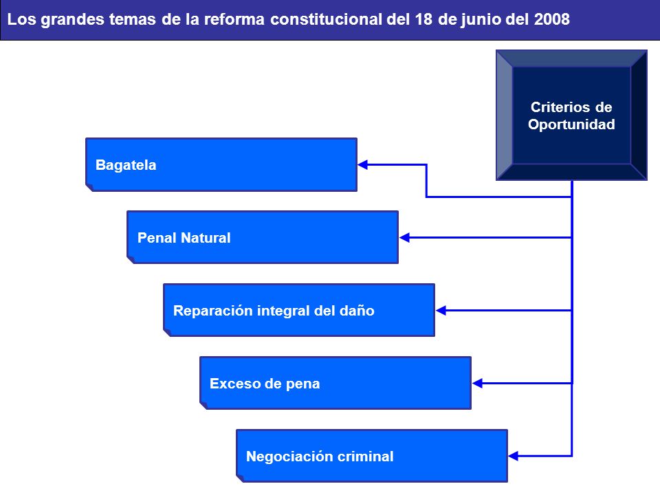Los grandes temas de la reforma constitucional del 18 de junio del 2008
