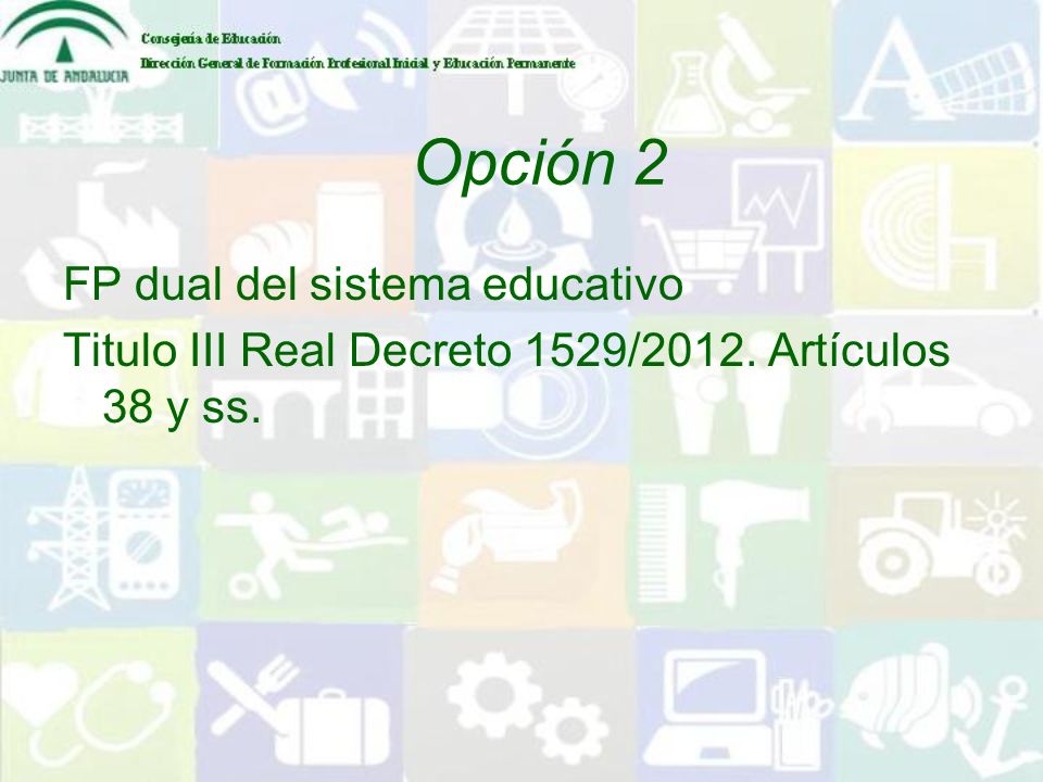 Opción 2 FP dual del sistema educativo