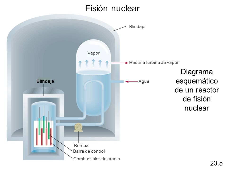 Fisión nuclear Diagrama esquemático de un reactor de fisión nuclear