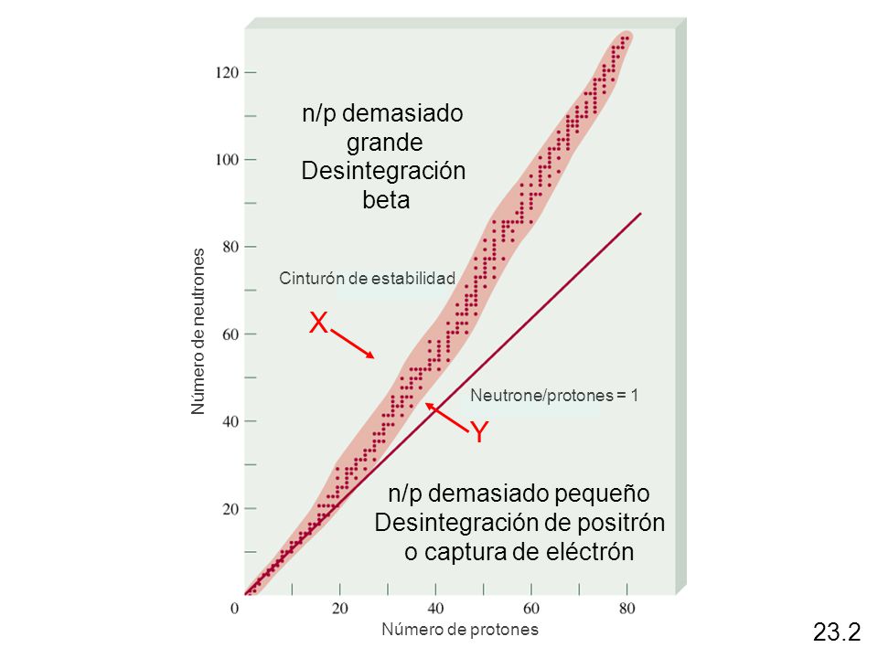 X Y n/p demasiado grande Desintegración beta n/p demasiado pequeño