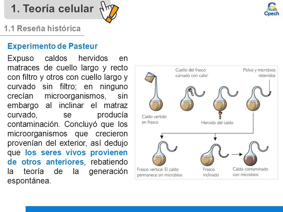 1. Teoría celular 1.1 Reseña histórica Experimento de Pasteur