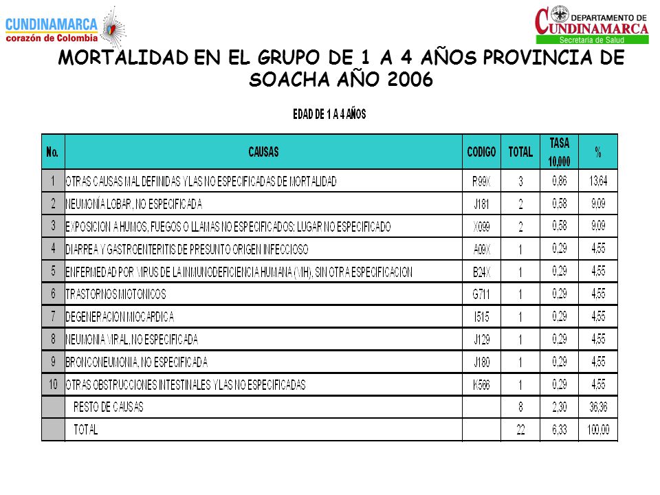 MORTALIDAD EN EL GRUPO DE 1 A 4 AÑOS PROVINCIA DE SOACHA AÑO 2006