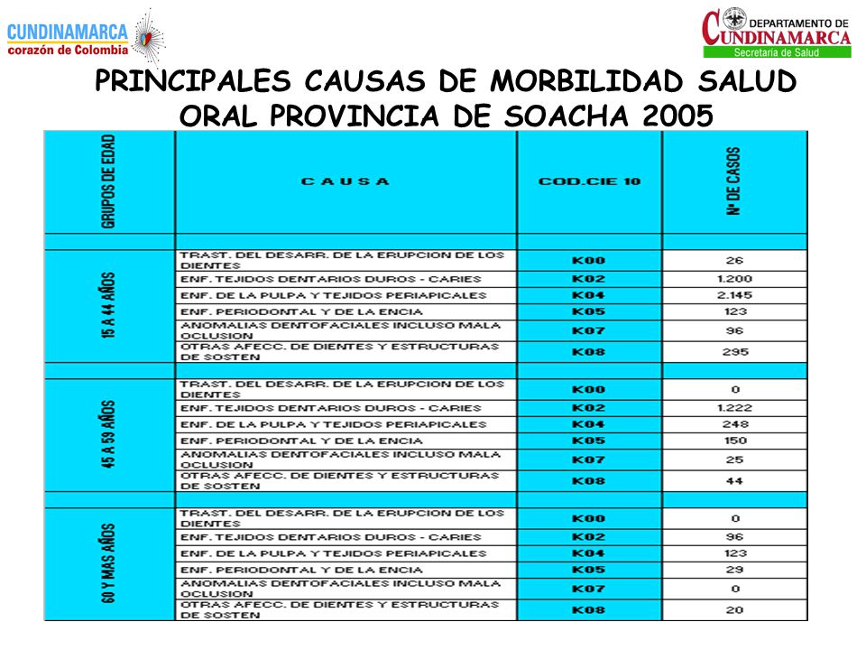 PRINCIPALES CAUSAS DE MORBILIDAD SALUD ORAL PROVINCIA DE SOACHA 2005