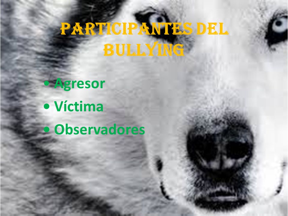 Participantes del Bullying