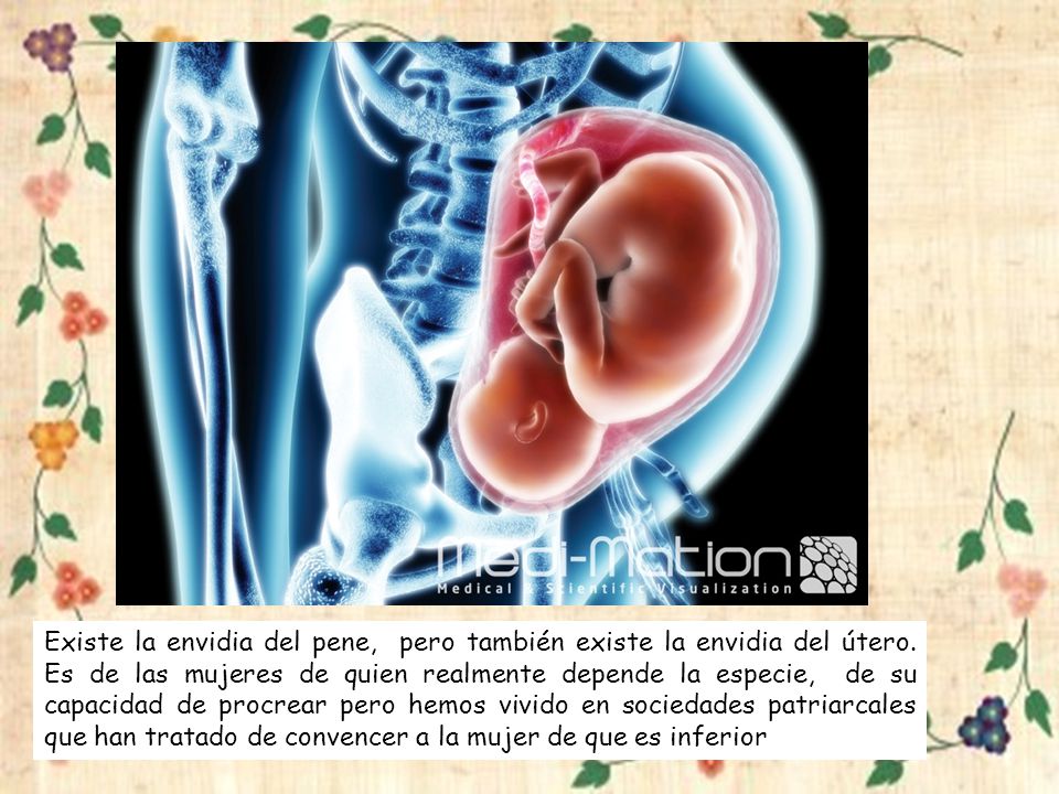 Existe la envidia del pene, pero también existe la envidia del útero