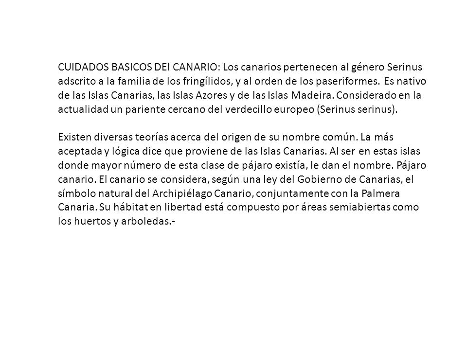 CUIDADOS BASICOS DEl CANARIO: Los canarios pertenecen al género Serinus adscrito a la familia de los fringílidos, y al orden de los paseriformes.