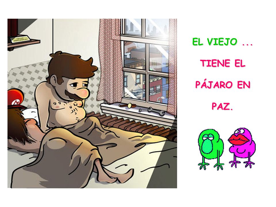 EL VIEJO ... TIENE EL PÁJARO EN PAZ.