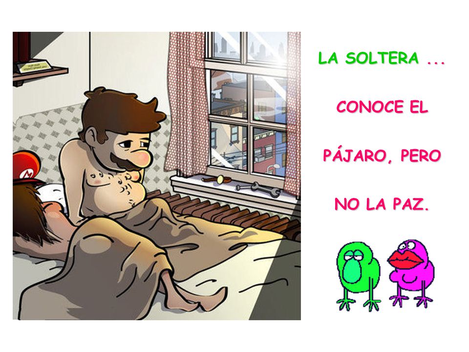 LA SOLTERA ... CONOCE EL PÁJARO, PERO NO LA PAZ.