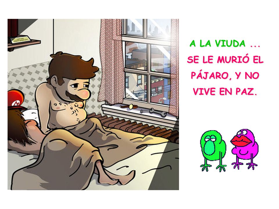 A LA VIUDA ... SE LE MURIÓ EL PÁJARO, Y NO VIVE EN PAZ.