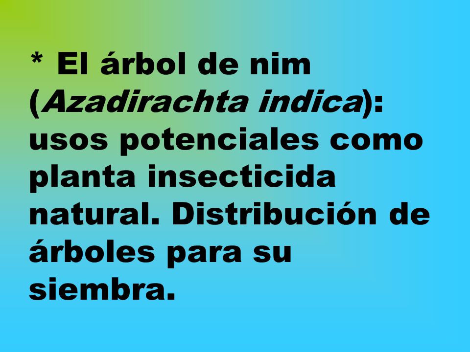 * El árbol de nim (Azadirachta indica): usos potenciales como planta insecticida natural.