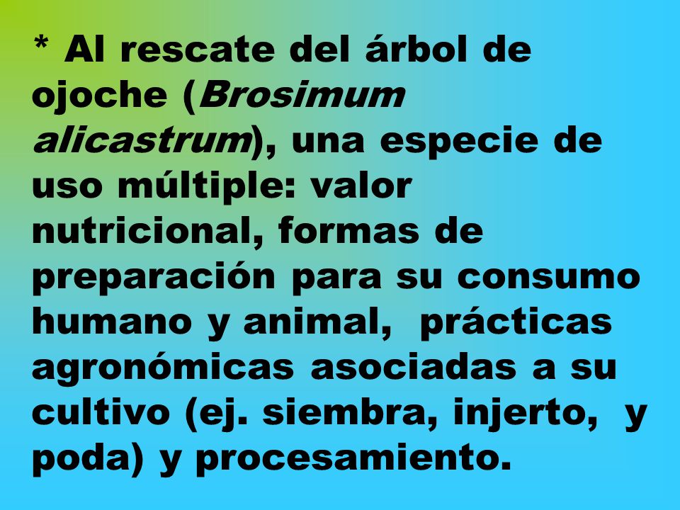 * Al rescate del árbol de ojoche (Brosimum alicastrum), una especie de uso múltiple: valor nutricional, formas de preparación para su consumo humano y animal, prácticas agronómicas asociadas a su cultivo (ej.