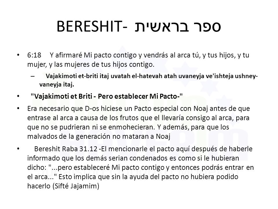 BERESHIT- ספר בראשית 6:18 Y afirmaré Mi pacto contigo y vendrás al arca tú, y tus hijos, y tu mujer, y las mujeres de tus hijos contigo.