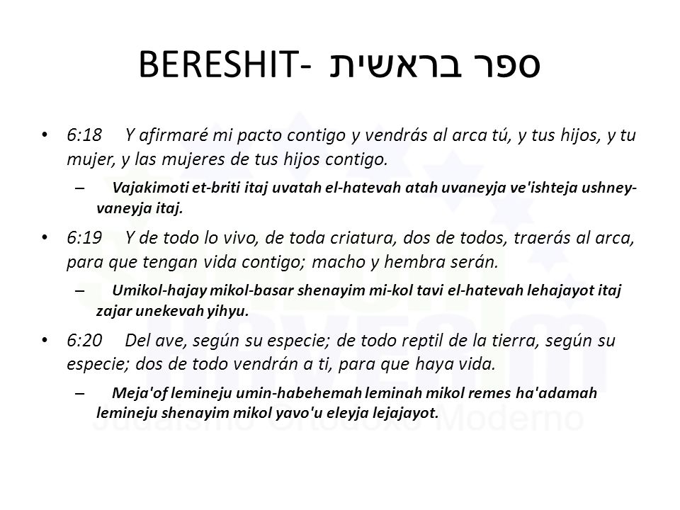 BERESHIT- ספר בראשית 6:18 Y afirmaré mi pacto contigo y vendrás al arca tú, y tus hijos, y tu mujer, y las mujeres de tus hijos contigo.