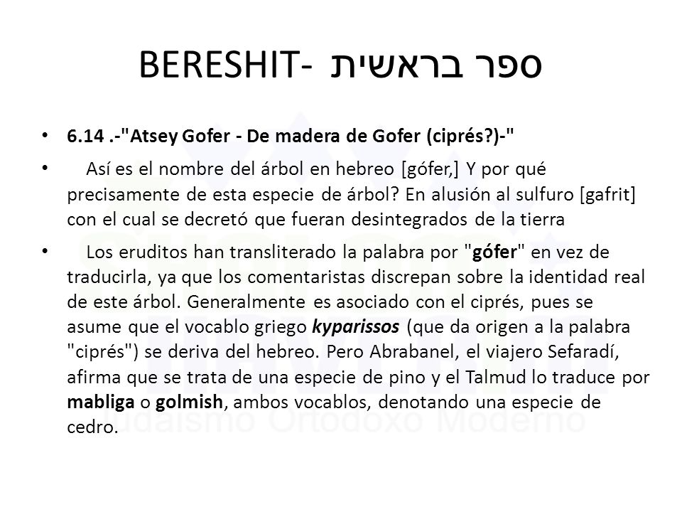 BERESHIT- ספר בראשית Atsey Gofer - De madera de Gofer (ciprés )-