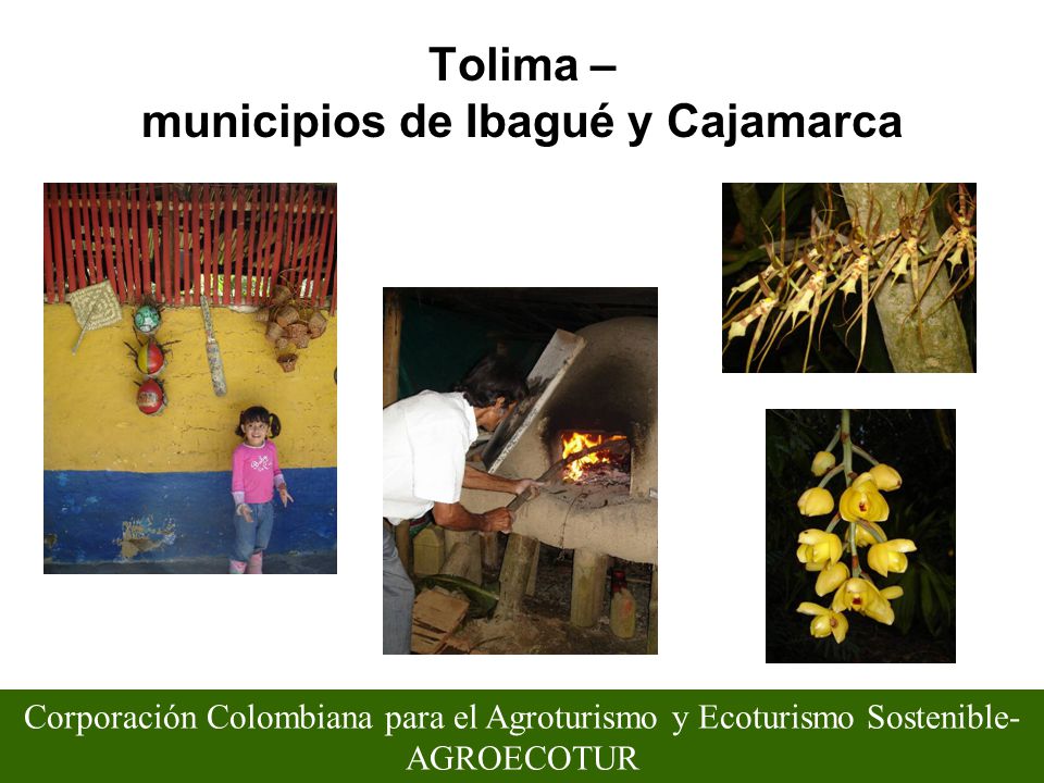 Tolima – municipios de Ibagué y Cajamarca