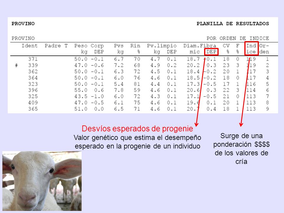 Surge de una ponderación $$$$ de los valores de cría