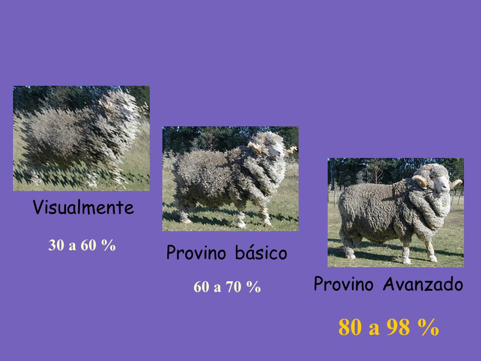 Visualmente Provino básico Provino Avanzado 80 a 98 % 30 a 60 %