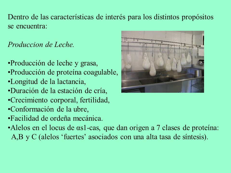 Dentro de las características de interés para los distintos propósitos