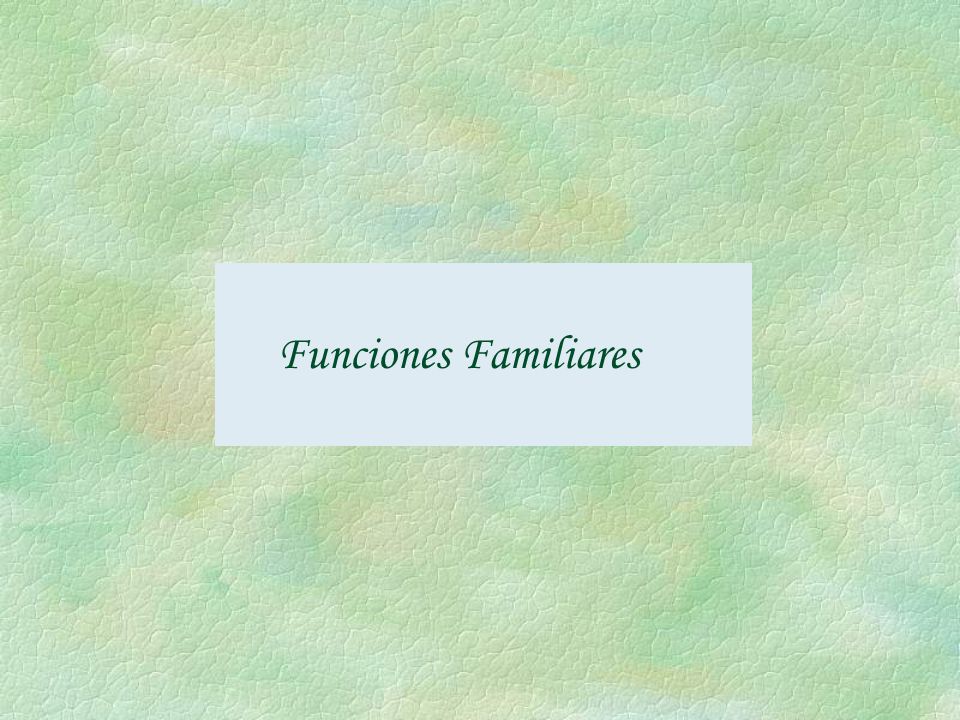 Funciones Familiares