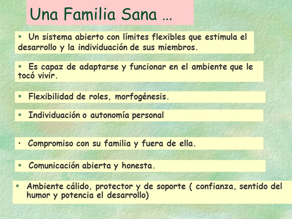 Una Familia Sana … Un sistema abierto con límites flexibles que estimula el desarrollo y la individuación de sus miembros.