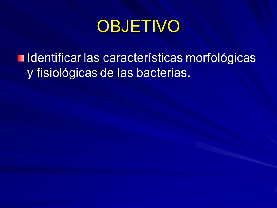 OBJETIVO Identificar las características morfológicas y fisiológicas de las bacterias.