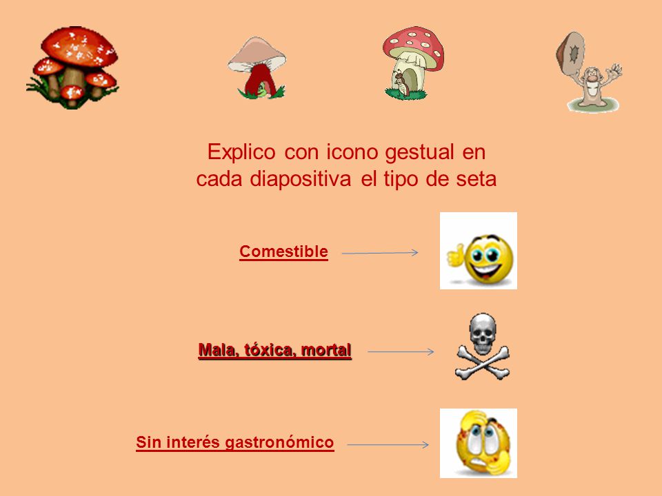 Explico con icono gestual en cada diapositiva el tipo de seta