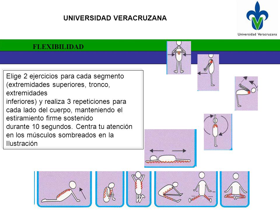 FLEXIBILIDAD Elige 2 ejercicios para cada segmento (extremidades superiores, tronco, extremidades.