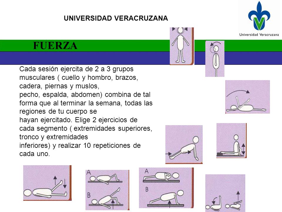 FUERZA Cada sesión ejercita de 2 a 3 grupos musculares ( cuello y hombro, brazos, cadera, piernas y muslos,
