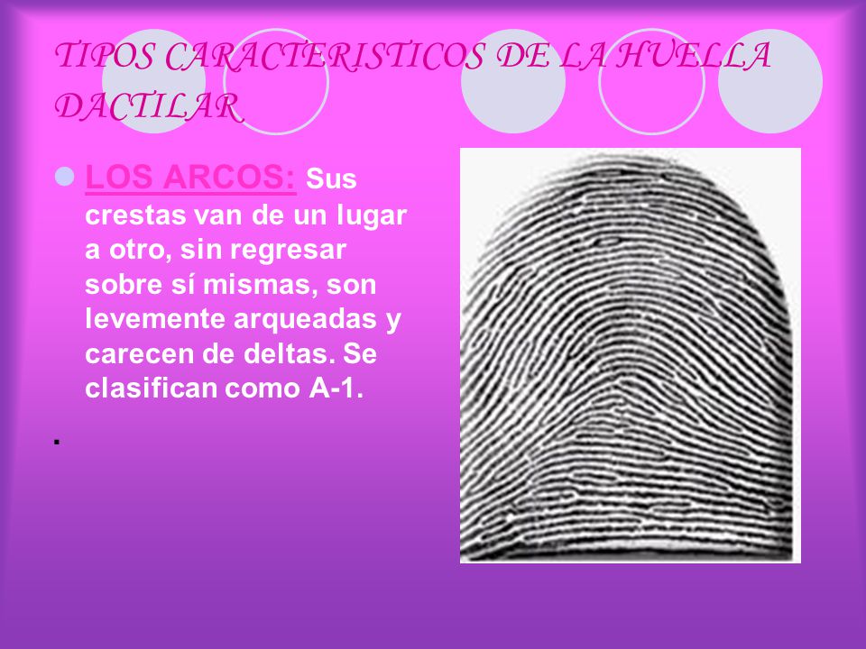 TIPOS CARACTERISTICOS DE LA HUELLA DACTILAR