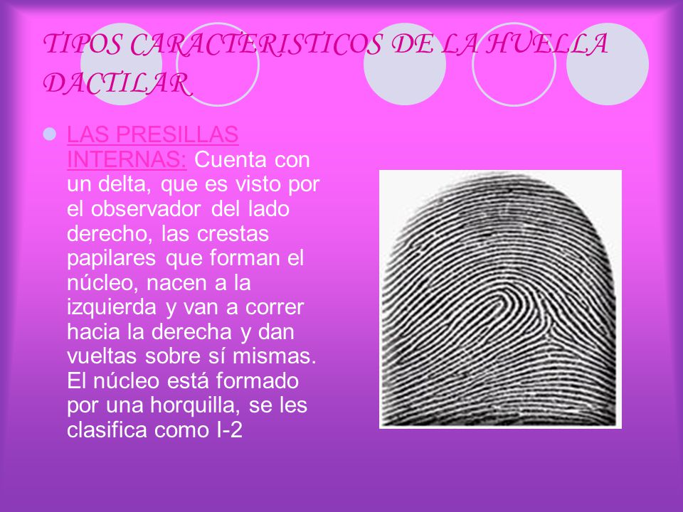 TIPOS CARACTERISTICOS DE LA HUELLA DACTILAR