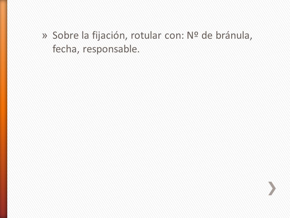 Sobre la fijación, rotular con: Nº de bránula, fecha, responsable.
