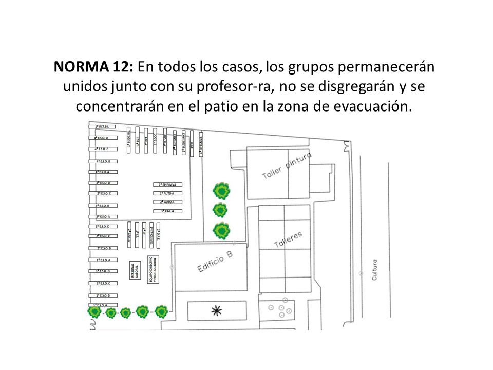 NORMA 12: En todos los casos, los grupos permanecerán unidos junto con su profesor-ra, no se disgregarán y se concentrarán en el patio en la zona de evacuación.