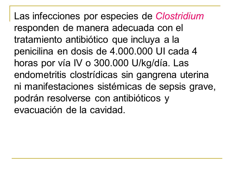 Las infecciones por especies de Clostridium responden de manera adecuada con el tratamiento antibiótico que incluya a la penicilina en dosis de UI cada 4 horas por vía IV o U/kg/día.