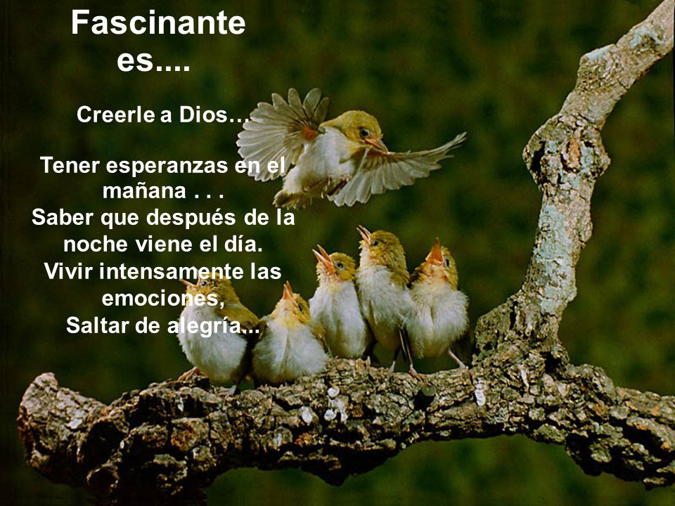 Fascinante es.... Creerle a Dios… Tener esperanzas en el mañana . . .