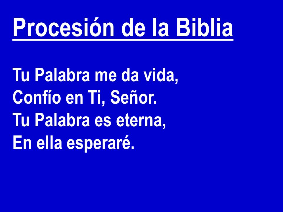 Procesión de la Biblia Tu Palabra me da vida, Confío en Ti, Señor.