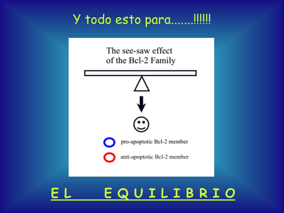 Y todo esto para !!!!!! E L E Q U I L I B R I O