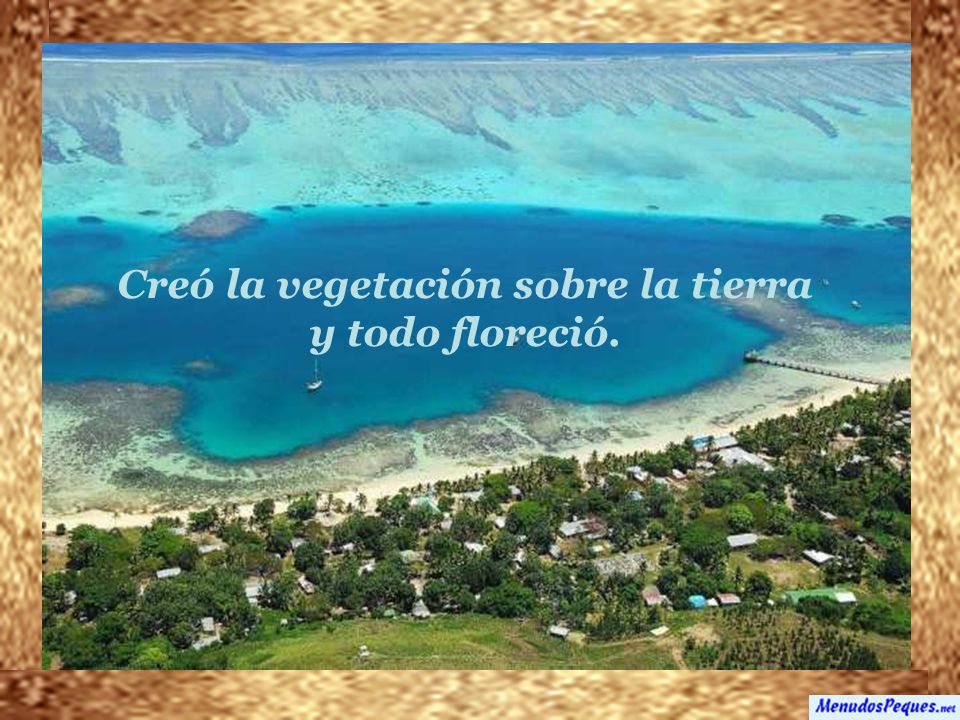 Creó la vegetación sobre la tierra y todo floreció.