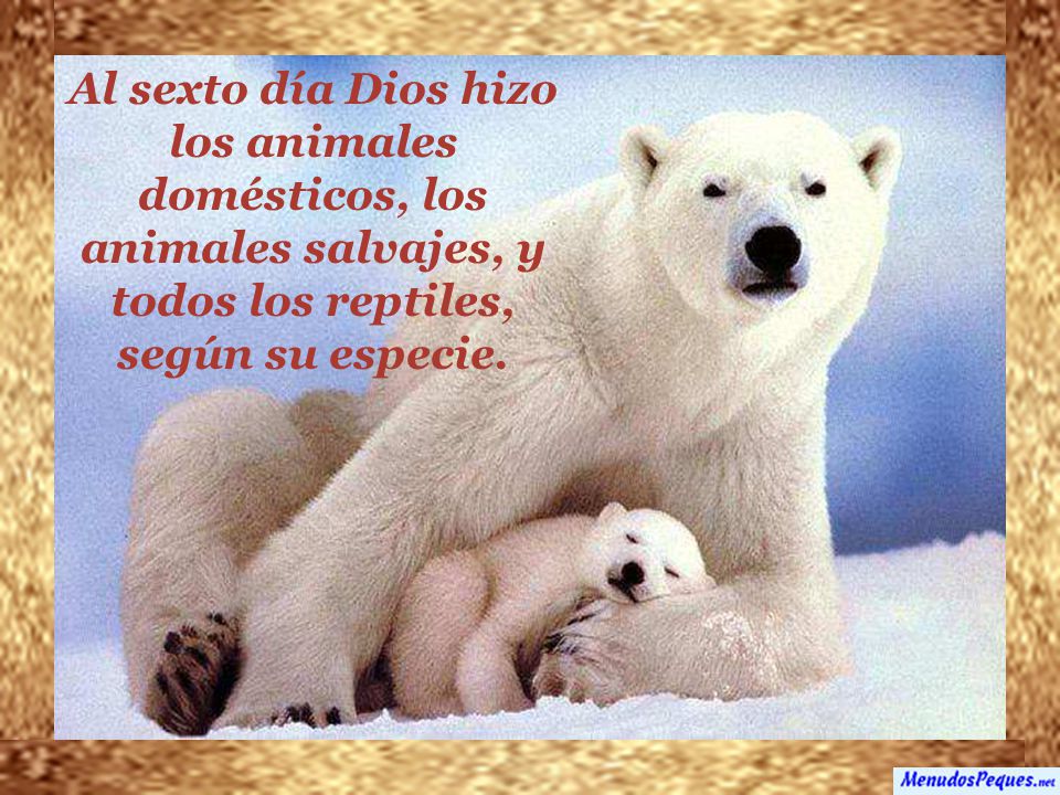 Al sexto día Dios hizo los animales domésticos, los animales salvajes, y todos los reptiles, según su especie.